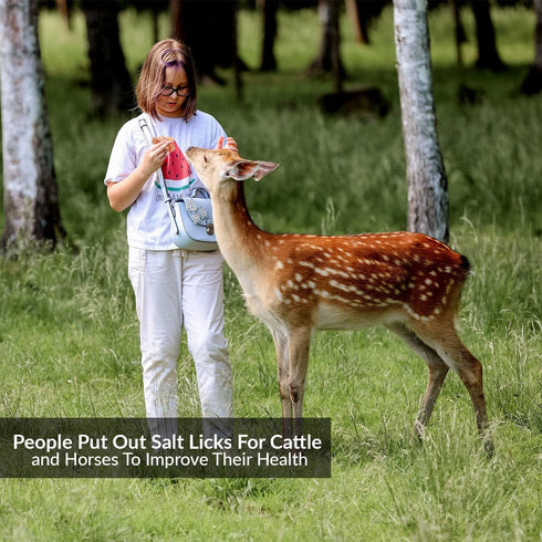Brick Salt for Deer | HIMALAYAN NATURE