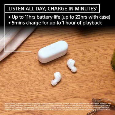 Sony WF-C510 Truly Wireless Earbuds with 22-Hour Battery, IPX4, Multipoint, Black