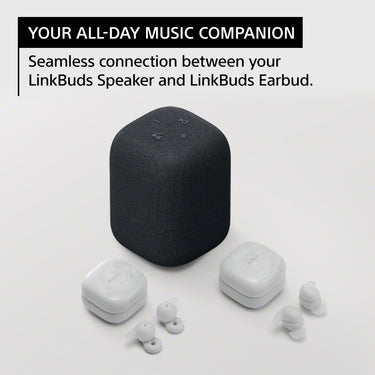 Sony LinkBuds Portable Wireless Speaker + Audio Bundle + Deco Type-C to C Cable