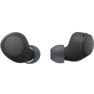 Sony Truly Wireless Earbuds with 22-Hour Battery + Converter & 1 Year Warranty