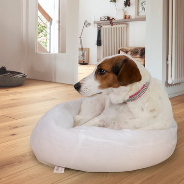 Deco Pet Plush Pet Orthopedic Bed with Dual Stainless Steel Food/Water Bowls Bundle