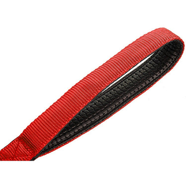 Deco Pet LED Dog Leash w/3 Light Modes for Night Safety, Battery-Powered - Red