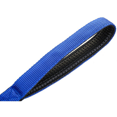 Deco Pet LED Dog Leash and Collar with 3 Light Modes, Battery-Powered - Blue