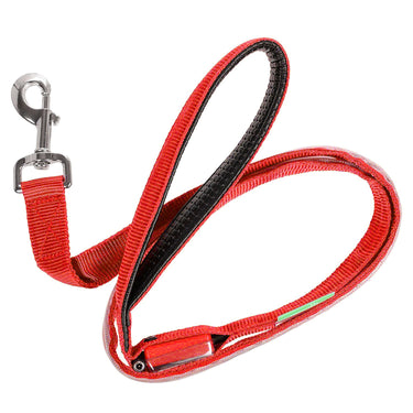Deco Pet 2-Pack Blue/Red LED Dog Leash w/3 Light Modes for Night Safety, Battery-Powered