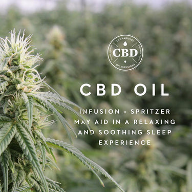 Malouf Zoned ActiveDough + Hemp-Oil Queen Pillow