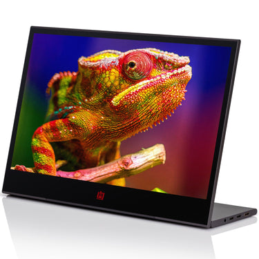 Deco Gear 15.6" 1920x1080 Portable Monitor, 60Hz, IPS, 16.7 Million Colors, Touchscreen
