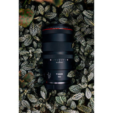 Canon RF 100mm F2.8 L MACRO IS USM Full Frame Medium Telephoto AF Lens 4514C002 Bundle