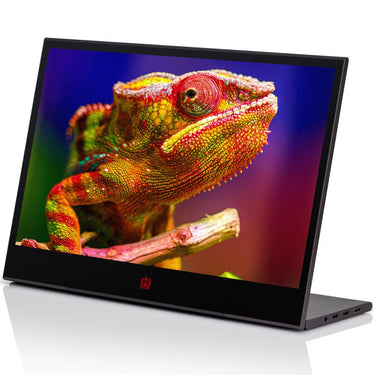 Deco Gear 15.6" 1920x1080 Portable Monitor, 60Hz, IPS w/ 1 Year Extended Warranty
