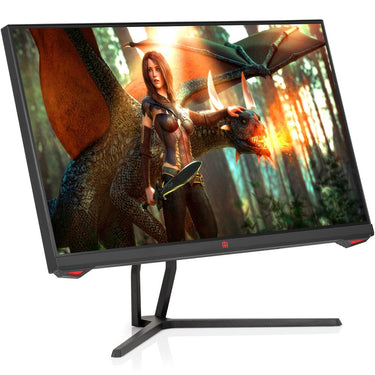 Deco Gear 25" Gaming Monitor, 1080P FHD, IPS w/ 1 Year Extended Warranty