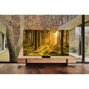 Samsung QN75QN900B 75 Inch Neo QLED 8K Smart TV (2022)