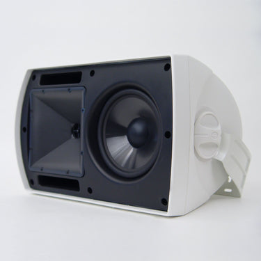 Klipsch AW-650 Outdoor Speaker with Tractrix Horn (Pair) + Deco Gear Wire + Banana Plugs