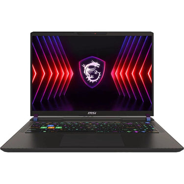 MSI Vector 17 HX A14VGG 219US