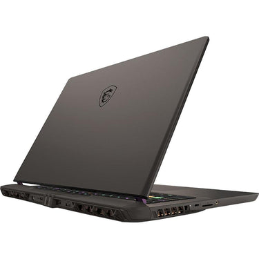 MSI Vector 17 HX A14VGG 219US