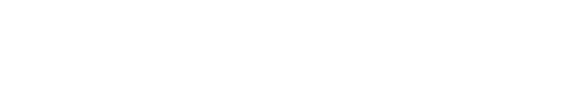 palazzo logo