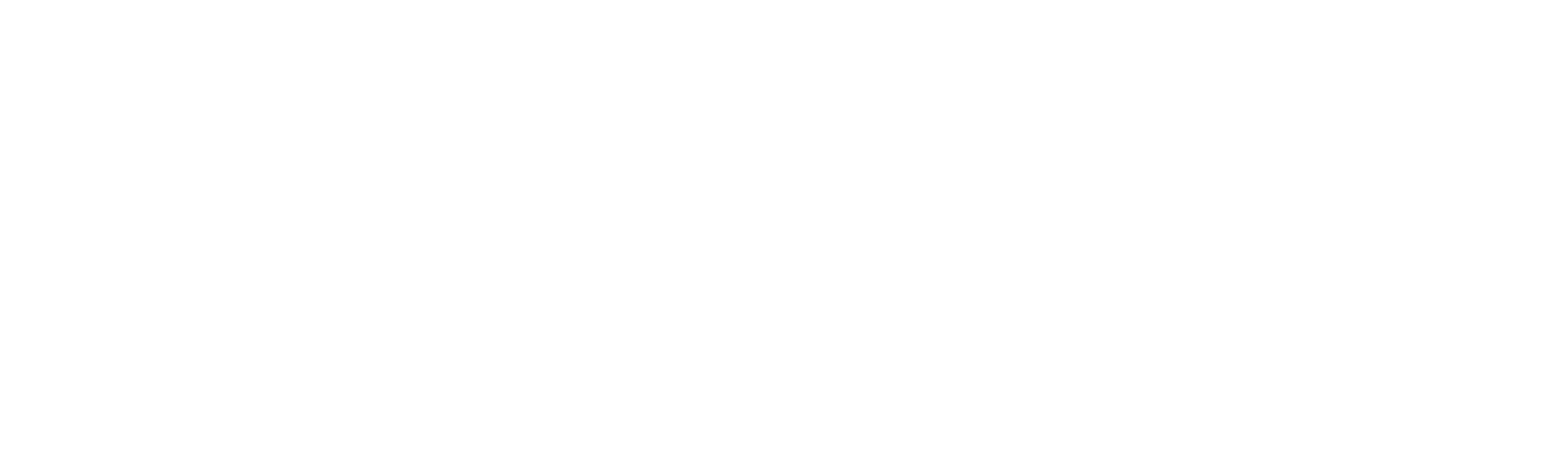 Las Vegas Party Pass Text