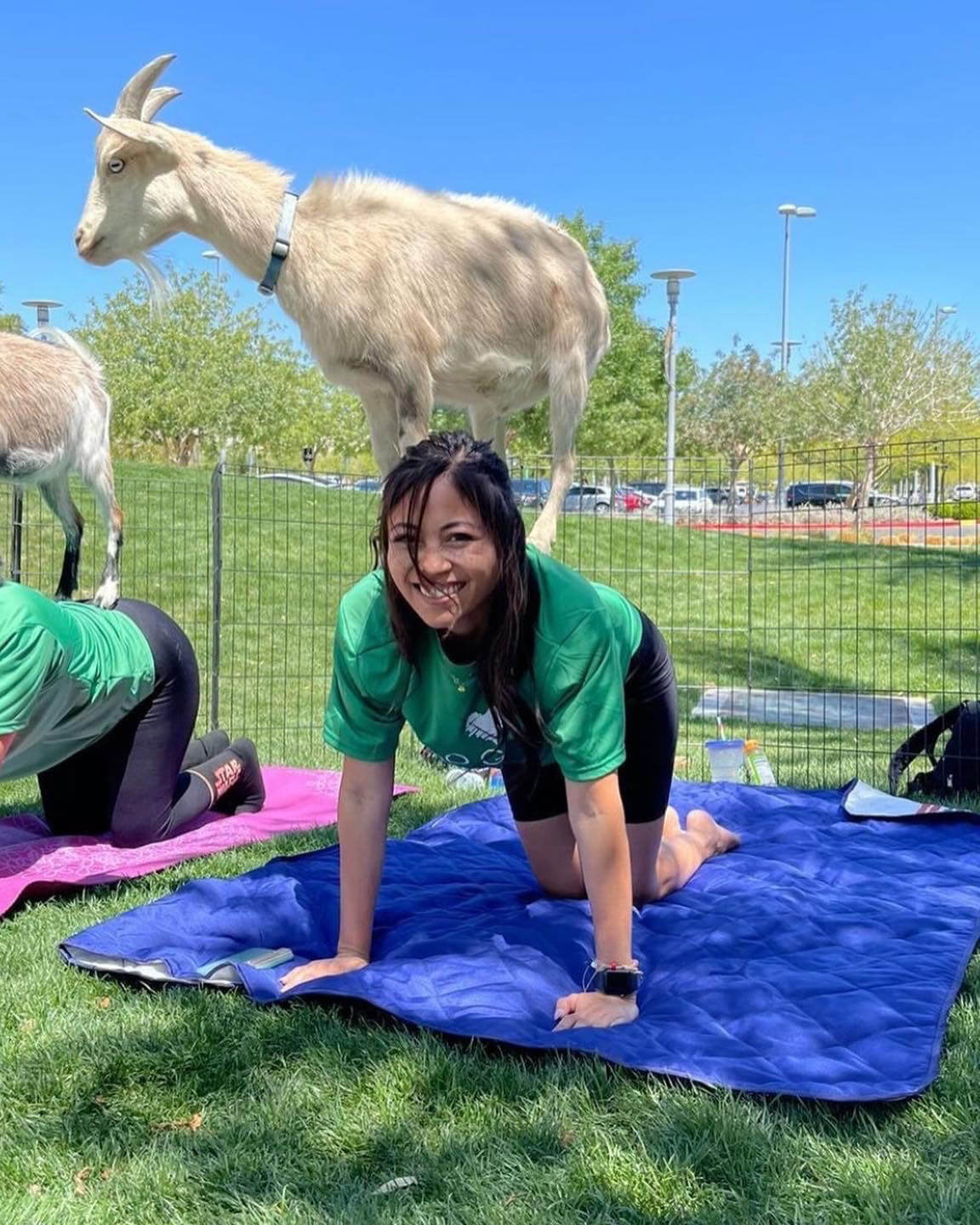 goat yoga for mental health awareness month
