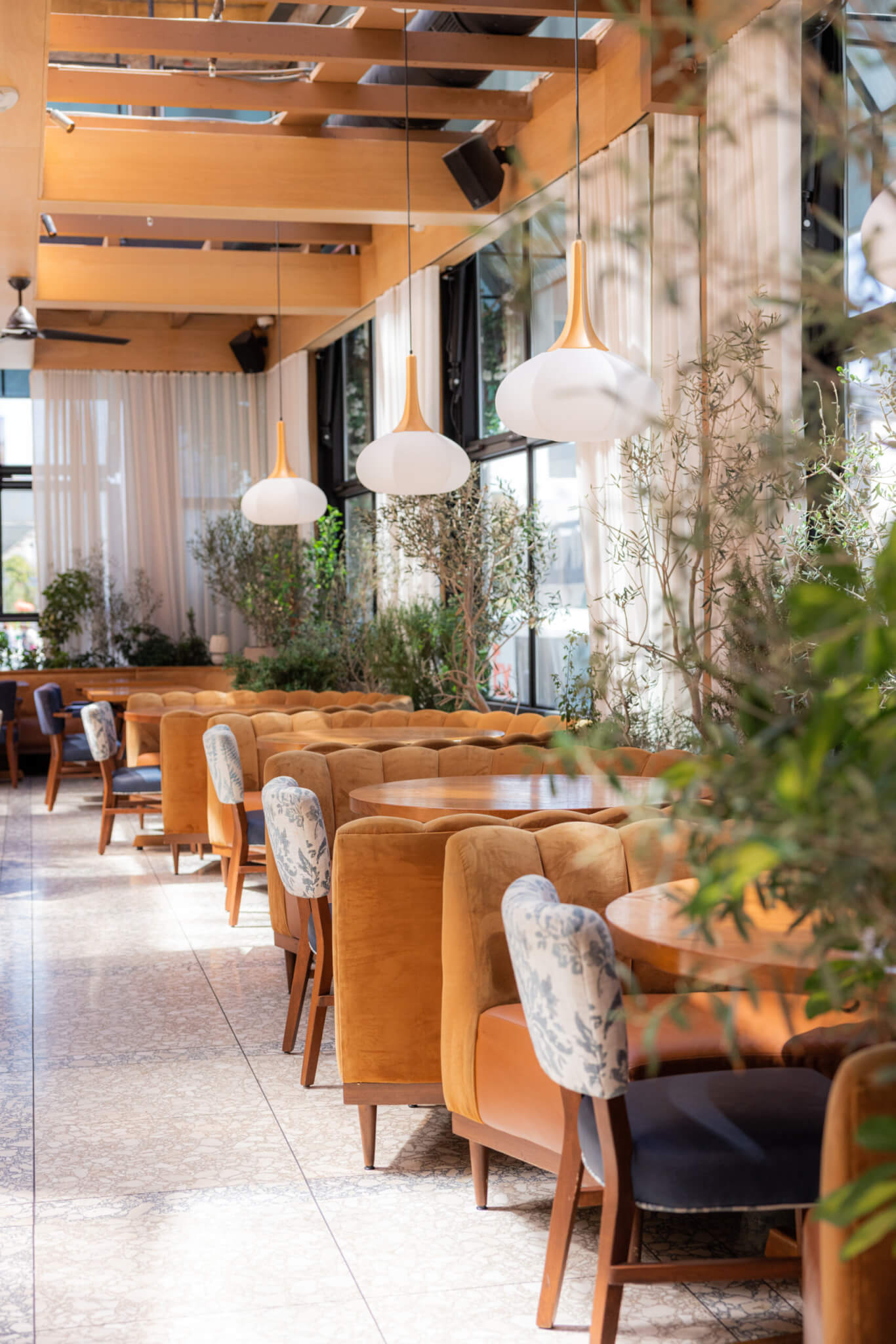 LAVO Ristorante