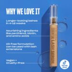 Babe Lash Serum: Enhance Fuller, Longer Natural Lashes & Brows. - Image 2