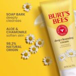 Burt's Bees Natural Facial Cleanser Set for College Students - Image 3