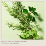 Aveda Rosemary Mint Conditioner: Lightweight, Body-Boosting, Invigorating Aroma - Image 7