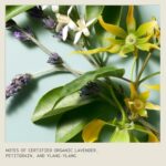 Aveda Shampure: Nourishing Shampoo with Lavender & Abyssinian Oil - Image 3