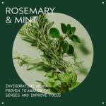 Aveda Rosemary Mint Conditioner: Lightweight, Body-Boosting, Invigorating Aroma - Image 3