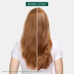 Biolage Color Last Conditioner: Color Protection, Hydration & Shine. - Image 2