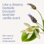 Lavender Vanilla Body Wash: Gentle, Aromatherapy Cleanser - 2 Pack - Image 3