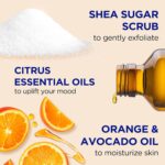 Dr Teal's Citrus Shea Sugar Scrub with Essential Oils, 19 oz - Image 4