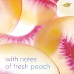 Dove Women's Clinical Antiperspirant: 96H Fresh Peach Protection. - Image 3
