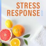 Secret Clinical Strength Deodorant: 72-Hour Stress & Sweat Protection - Image 6