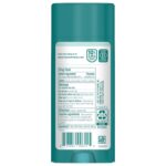 Tom's of Maine Natural Antiperspirant: 48-Hour Sweat Protection (2 Pack) - Image 3