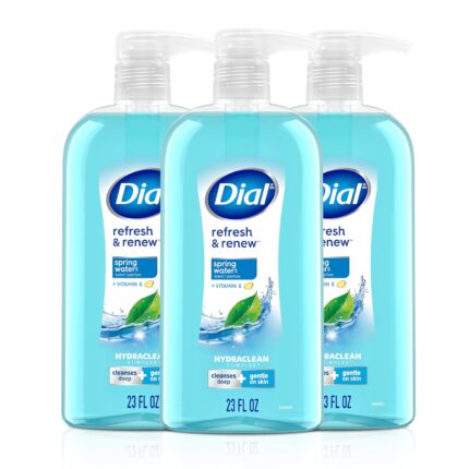 Dial Body Wash, Refresh & Renew Spring Water, 23 Fl Oz (Pack of 3), Hydraclean Complex & Vitamin E, Gentle, Leaves Skin Feeling Nourished, Dermatologist-Tested, No Parabens & Sulfates