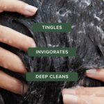Tea Tree Special Shampoo: Deep Cleanse, Refresh Scalp, All Hair Types - Image 2